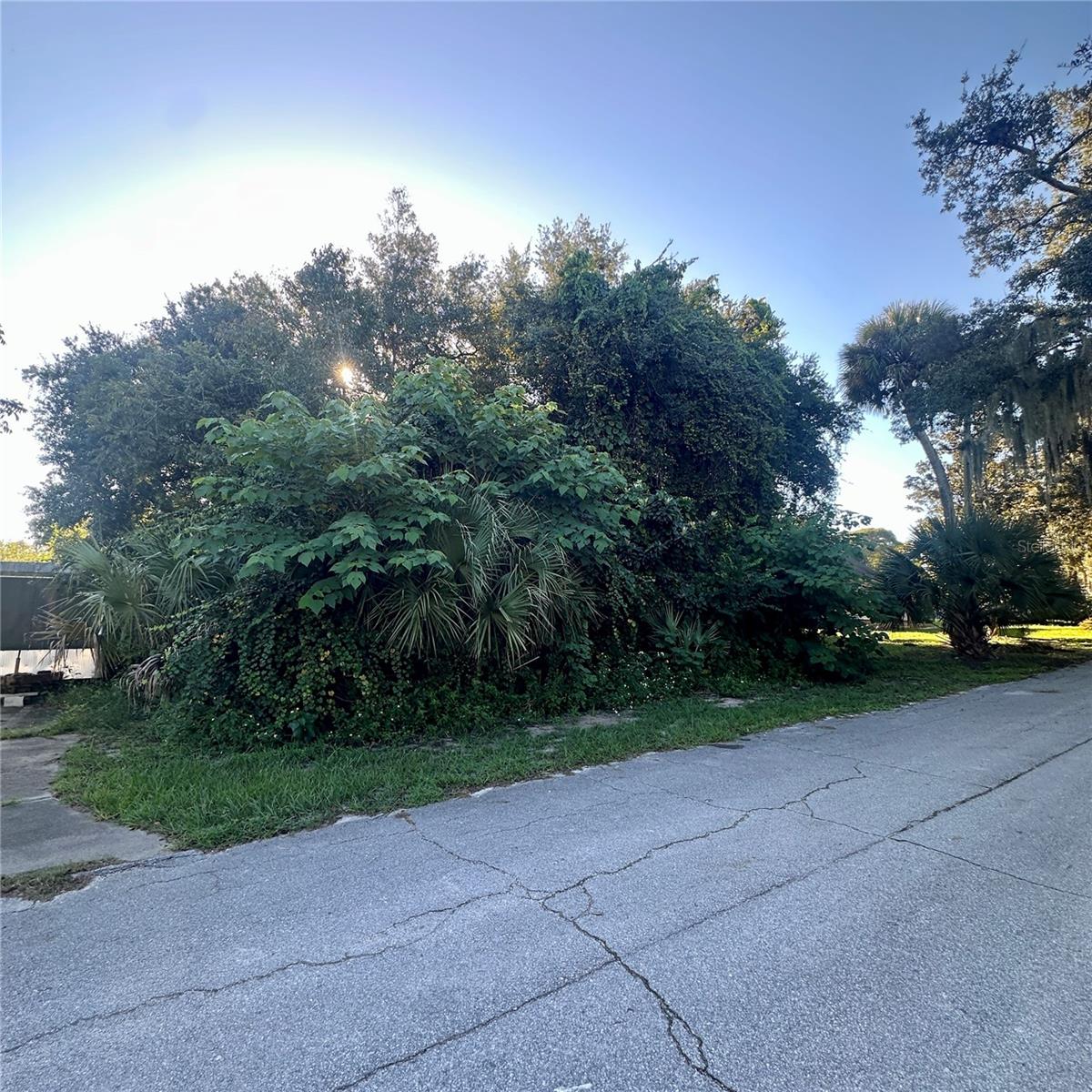 0 Oak St Property Photo 1