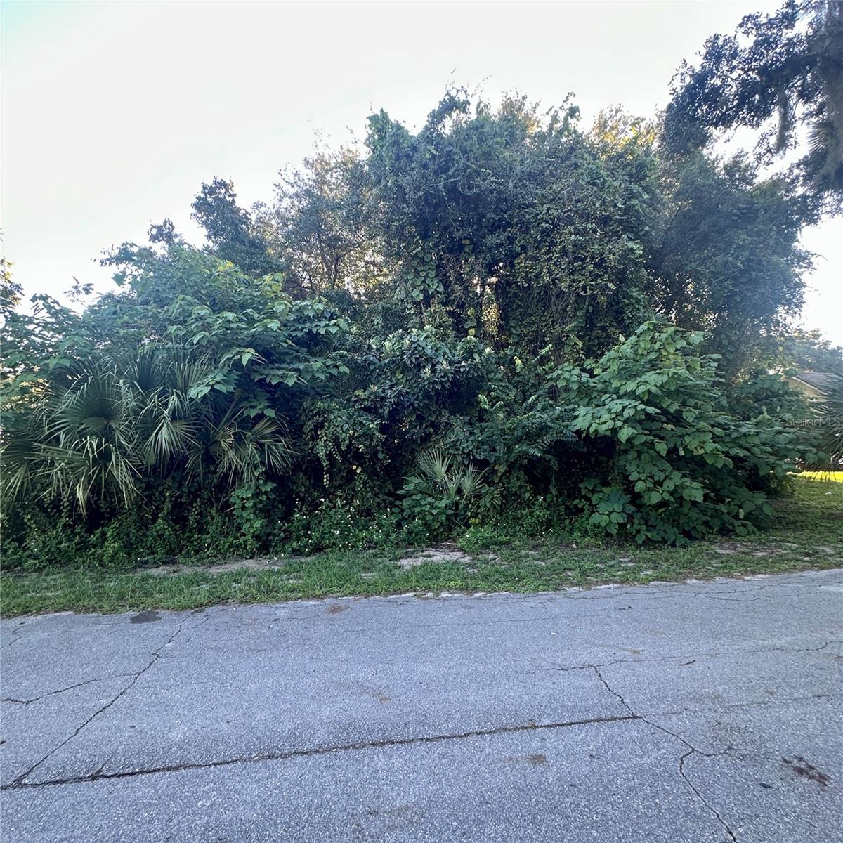 0 Oak St Property Photo 2