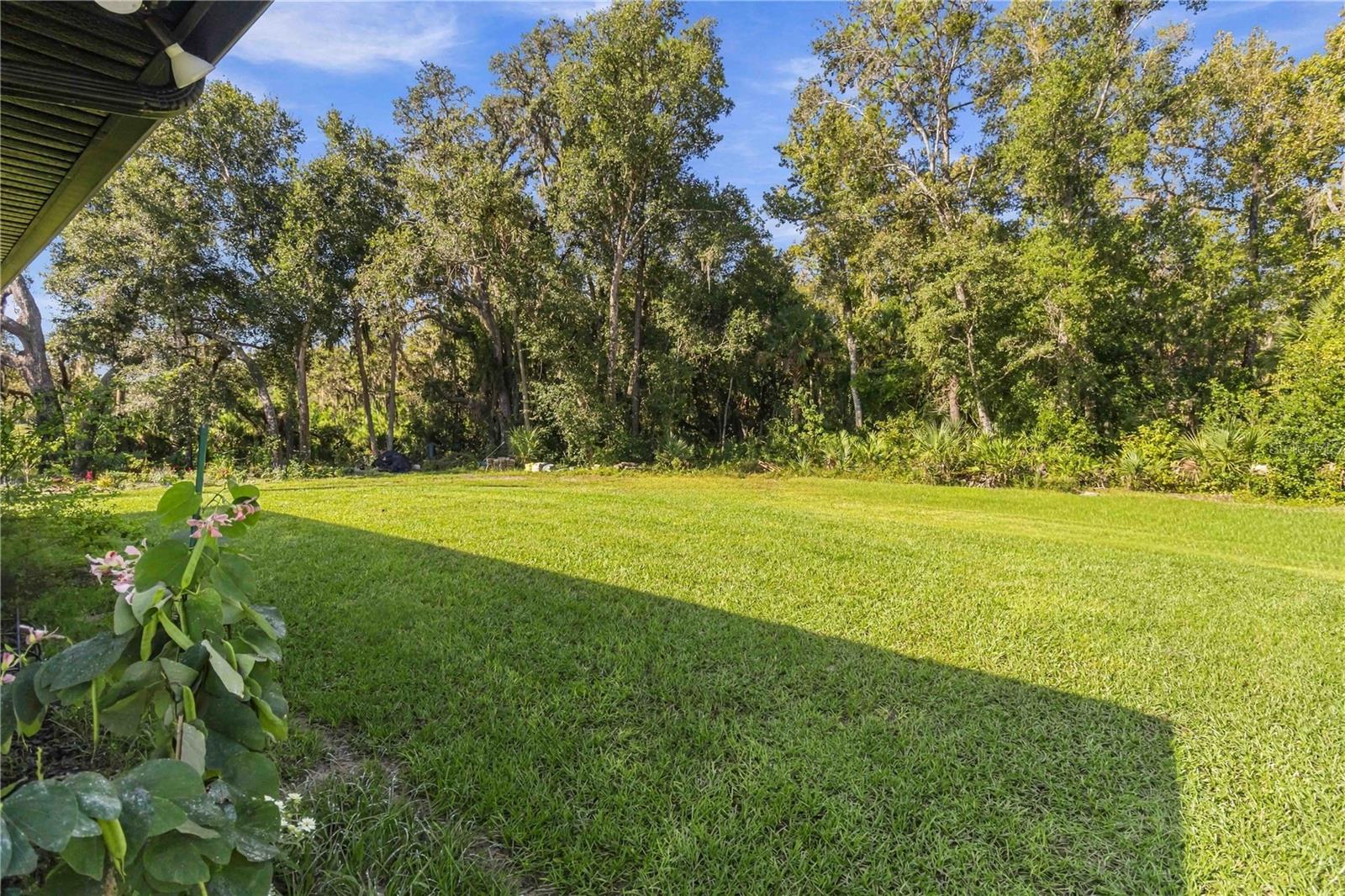 1915 Taylor Rd Property Photo 52