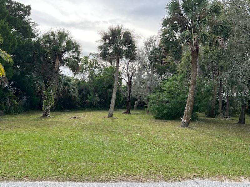 209 Inlet Shores Dr Property Photo 8