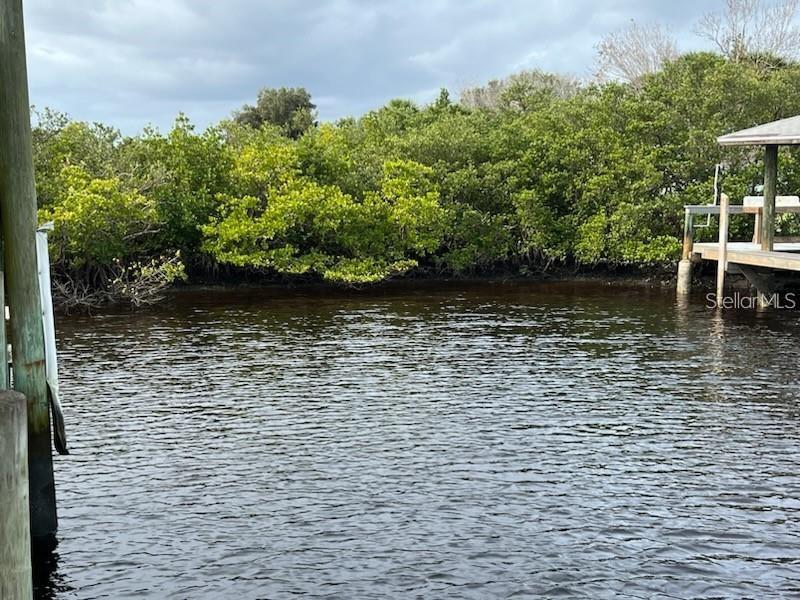 209 Inlet Shores Dr Property Photo 14