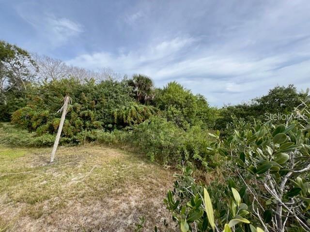 209 Inlet Shores Dr Property Photo 18