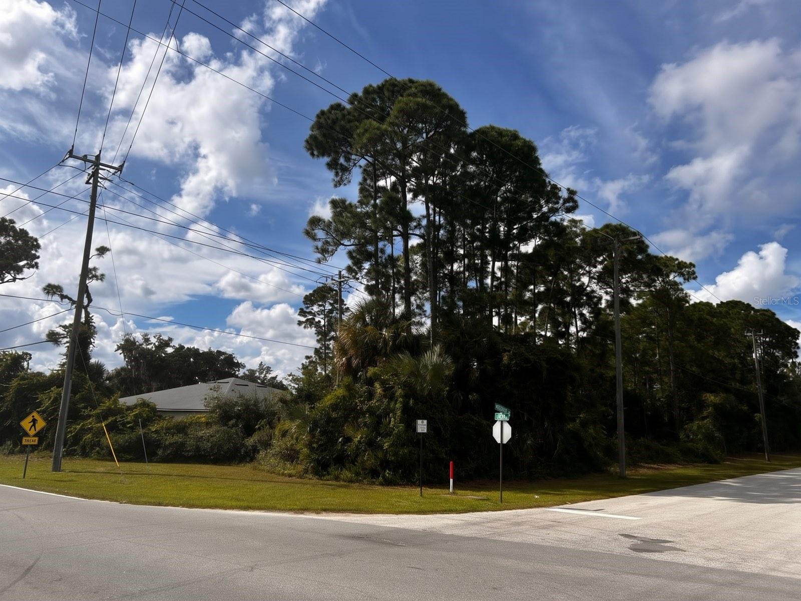 NS1089398 Property Photo 3