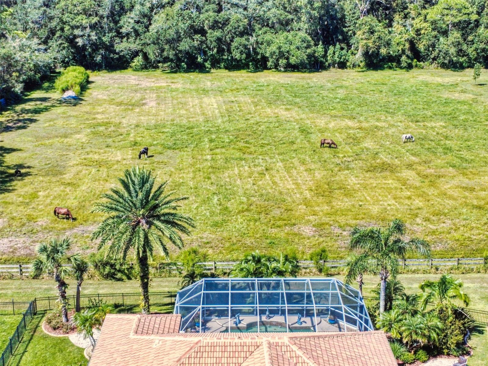 3604 Maribella Dr Property Photo 55