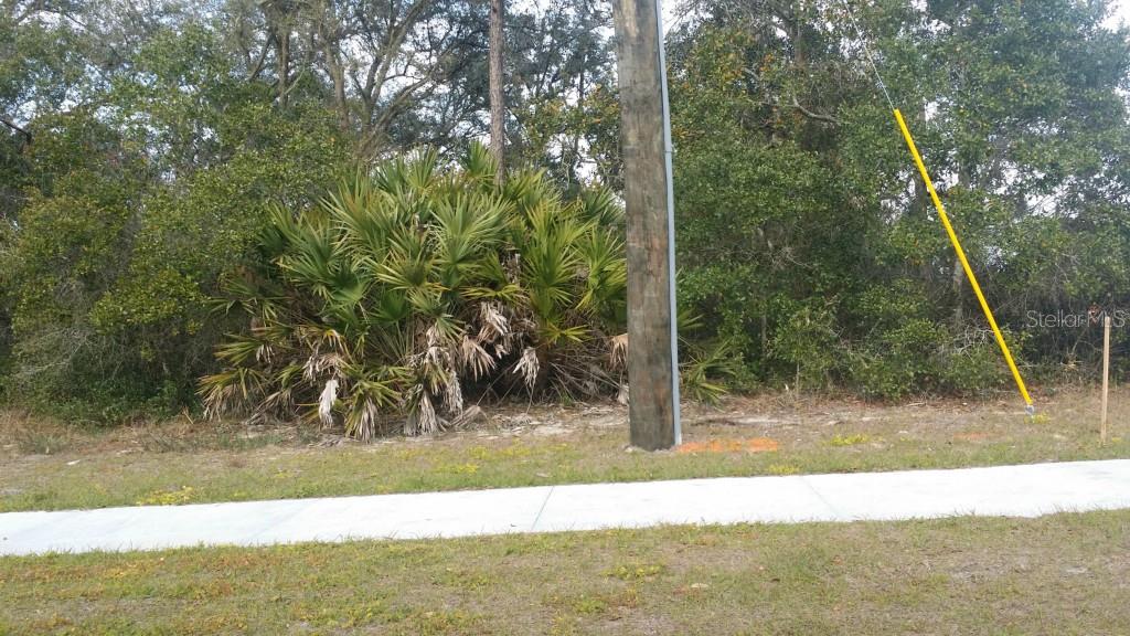 3710 Sandlor Dr Property Photo 2