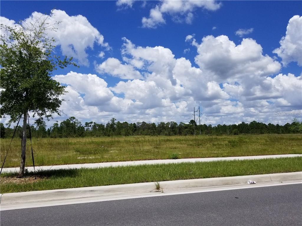 APOPKA VINELAND RD Property Photo 1