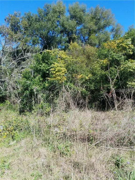 5 Lenox Ct Property Photo 3