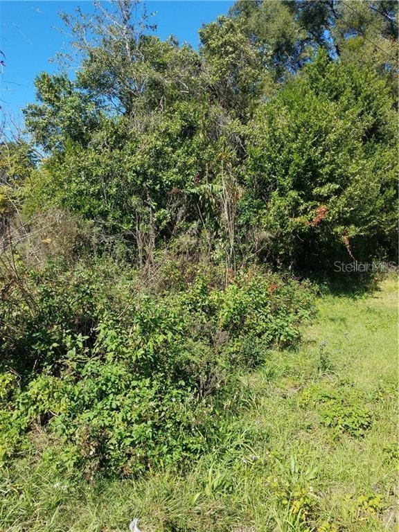 5 Lenox Ct Property Photo 5