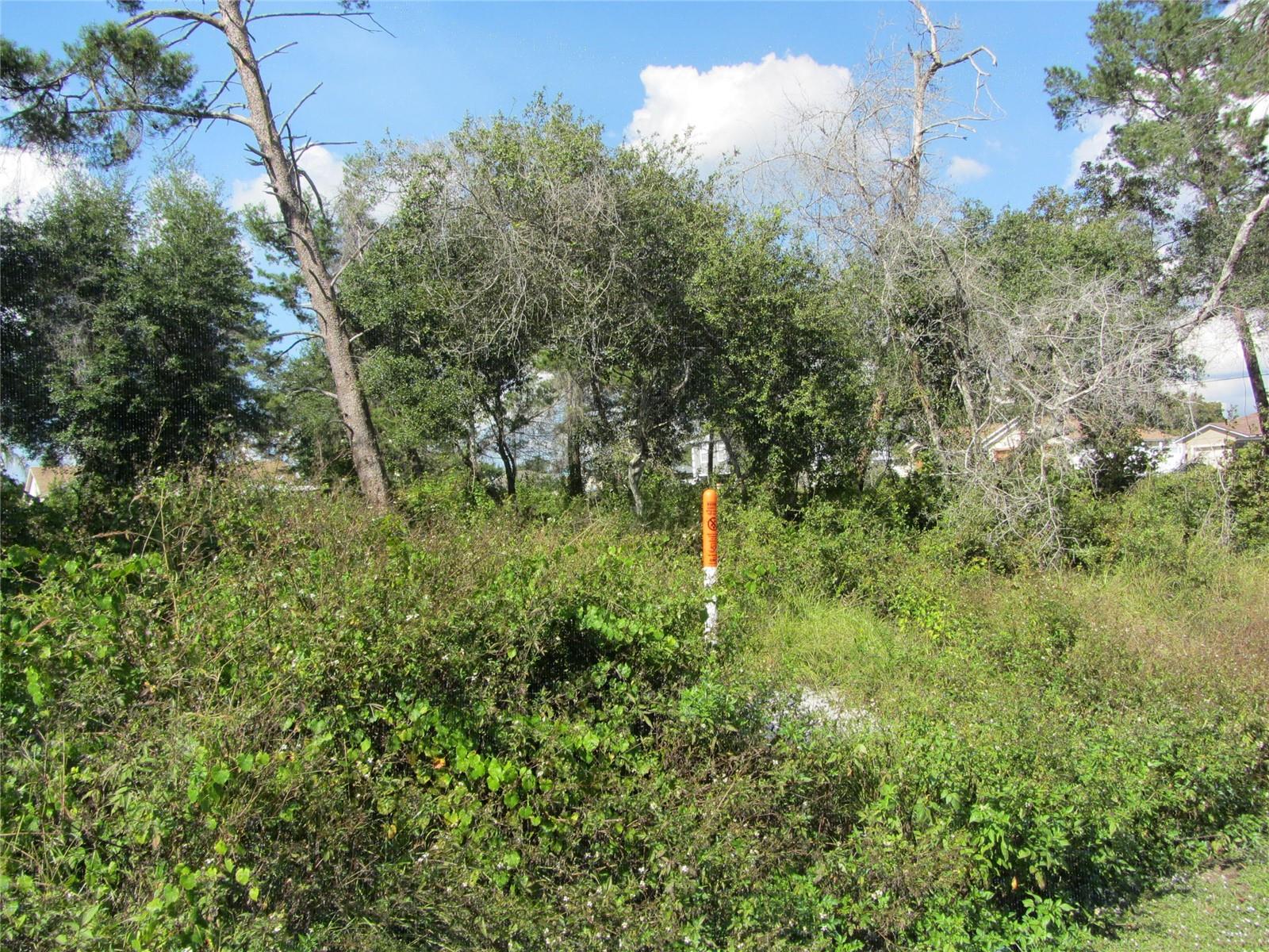 1684 CATALINA BLVD Property Photo 1