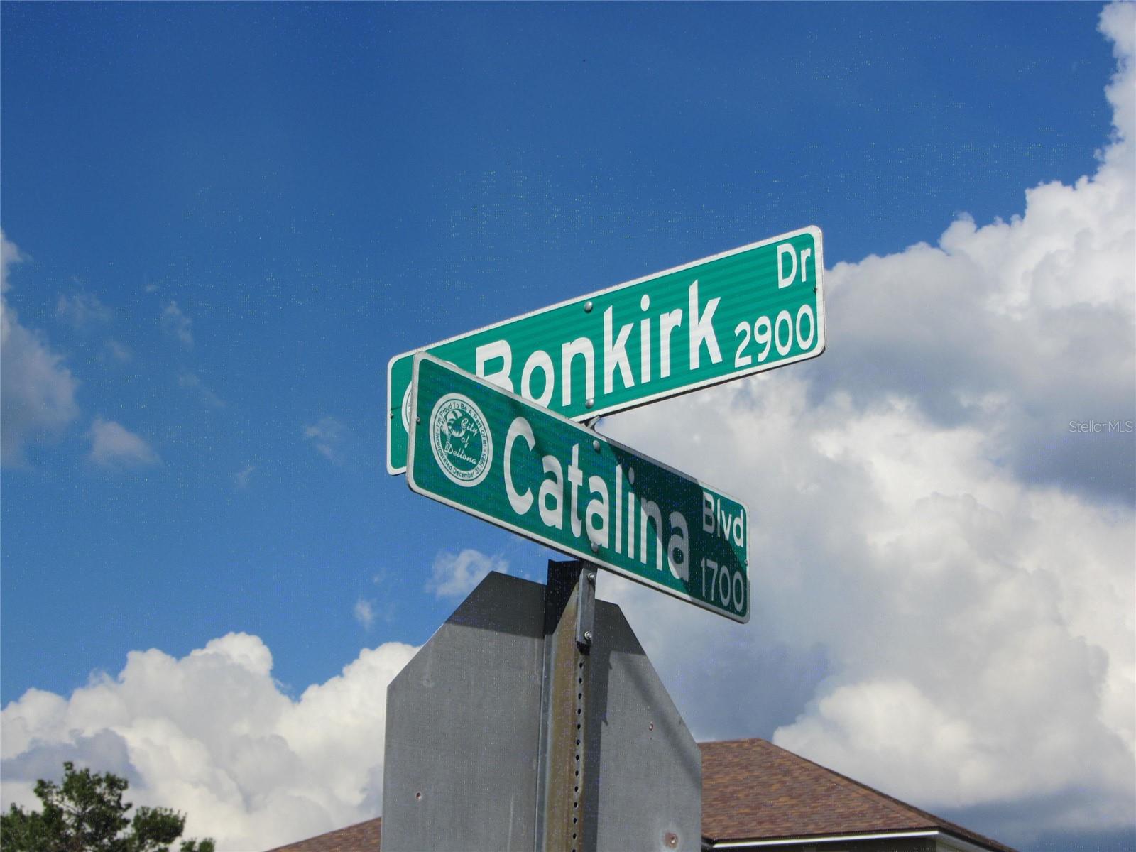 1688 Catalina Blvd Property Photo 4