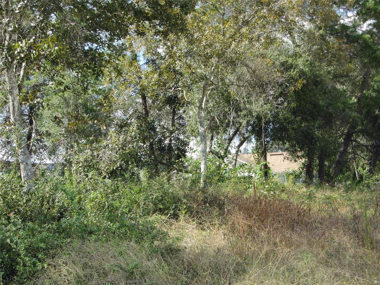 1688 CATALINA BLVD Property Photo 1