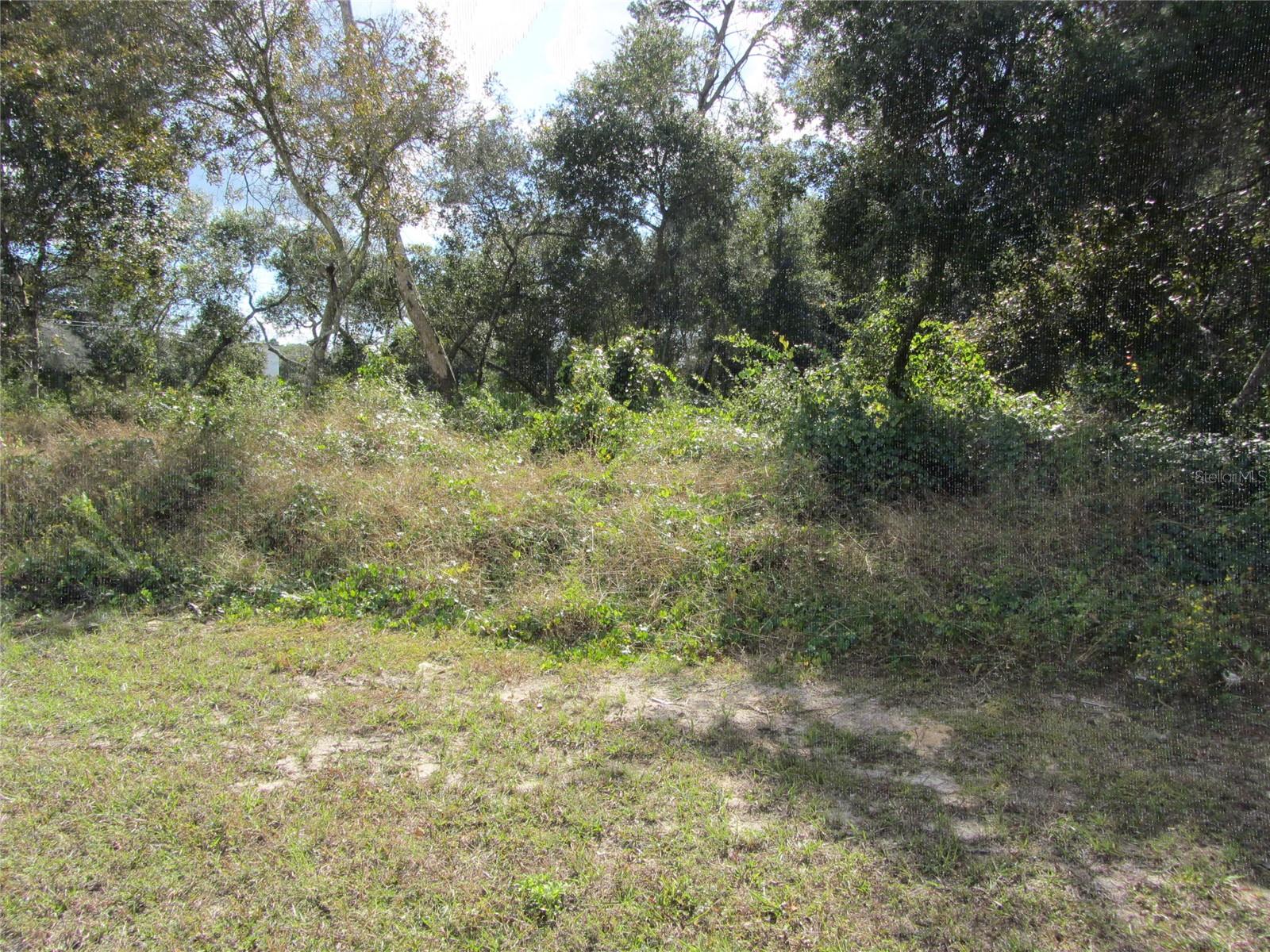 1688 Catalina Blvd Property Photo 6
