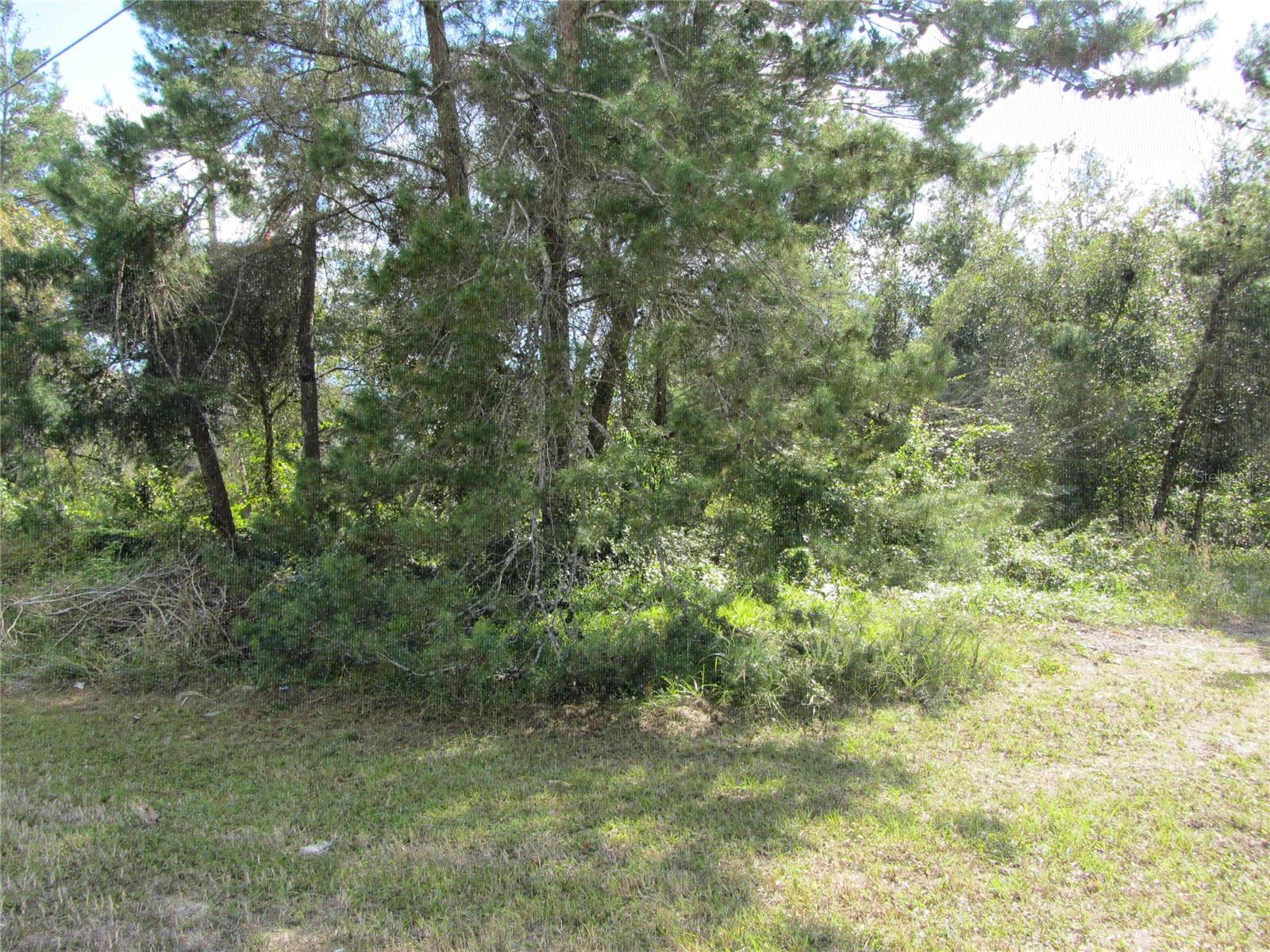 1688 Catalina Blvd Property Photo 7