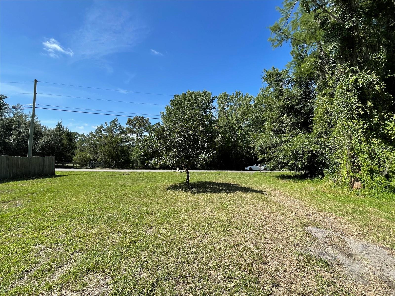 16415 Bearle Rd Property Photo 4