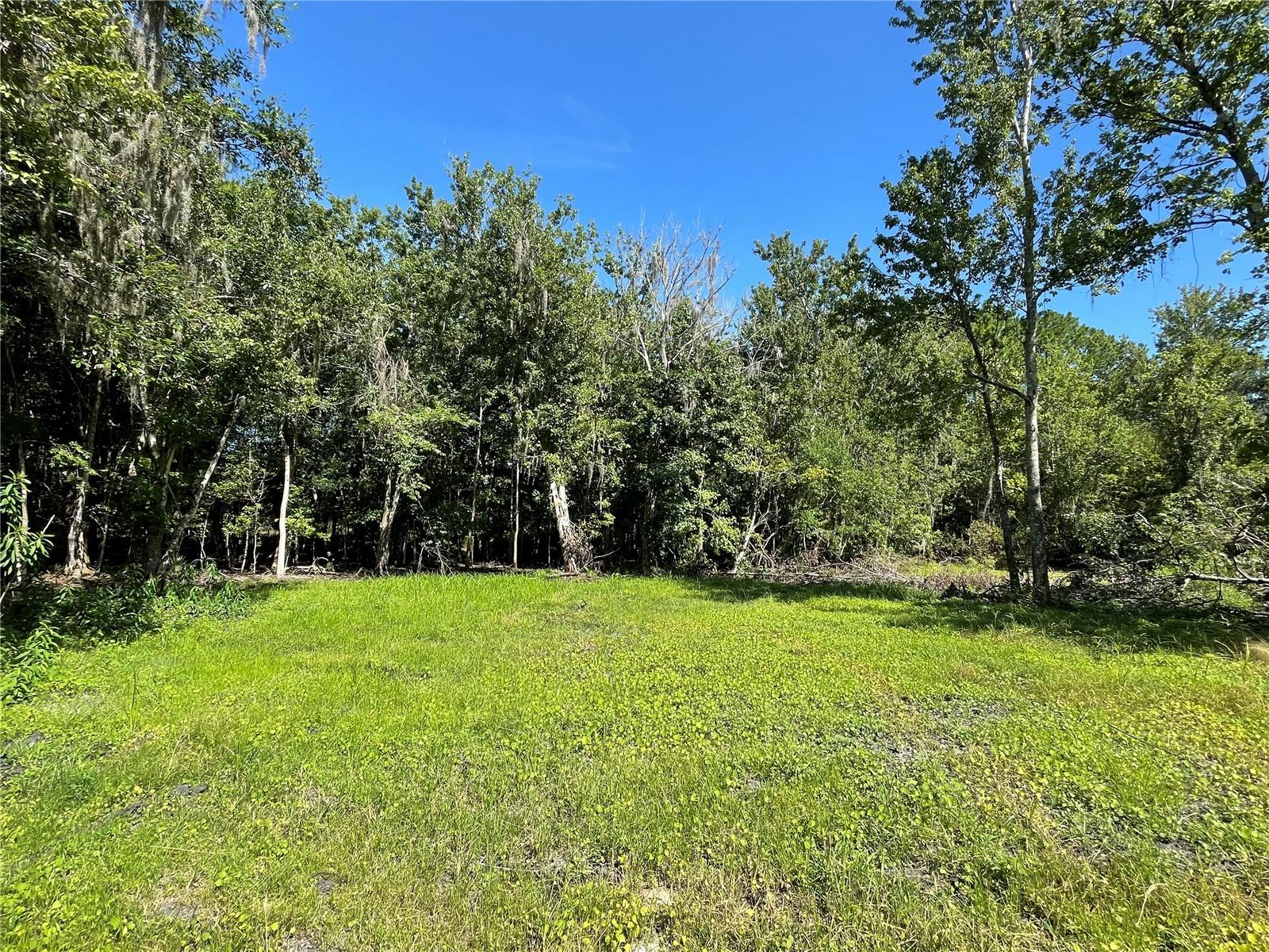 16415 Bearle Rd Property Photo 7