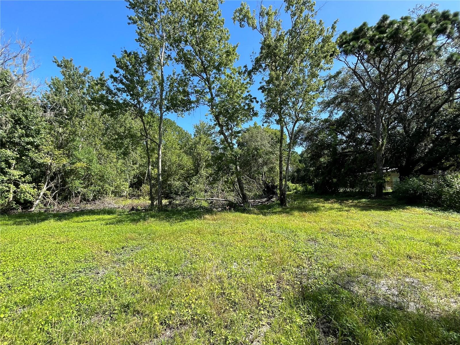 16415 Bearle Rd Property Photo 8