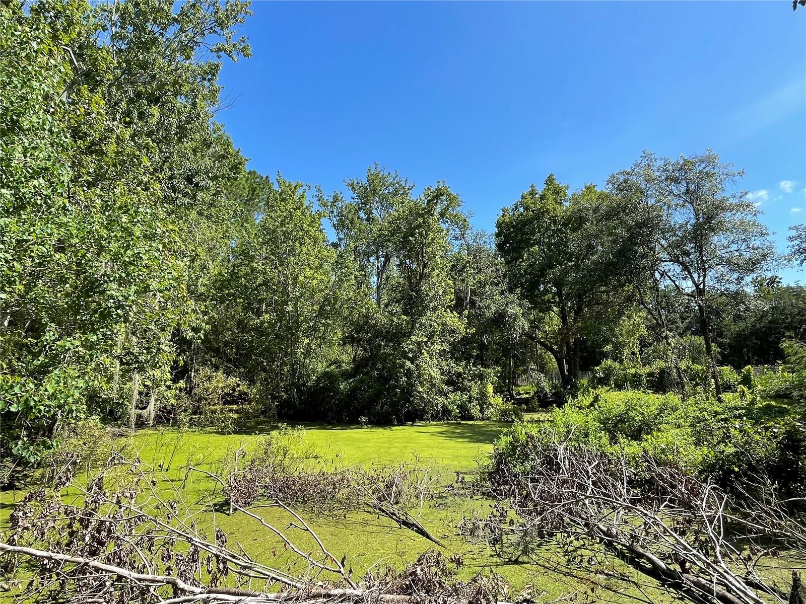 16415 Bearle Rd Property Photo 10