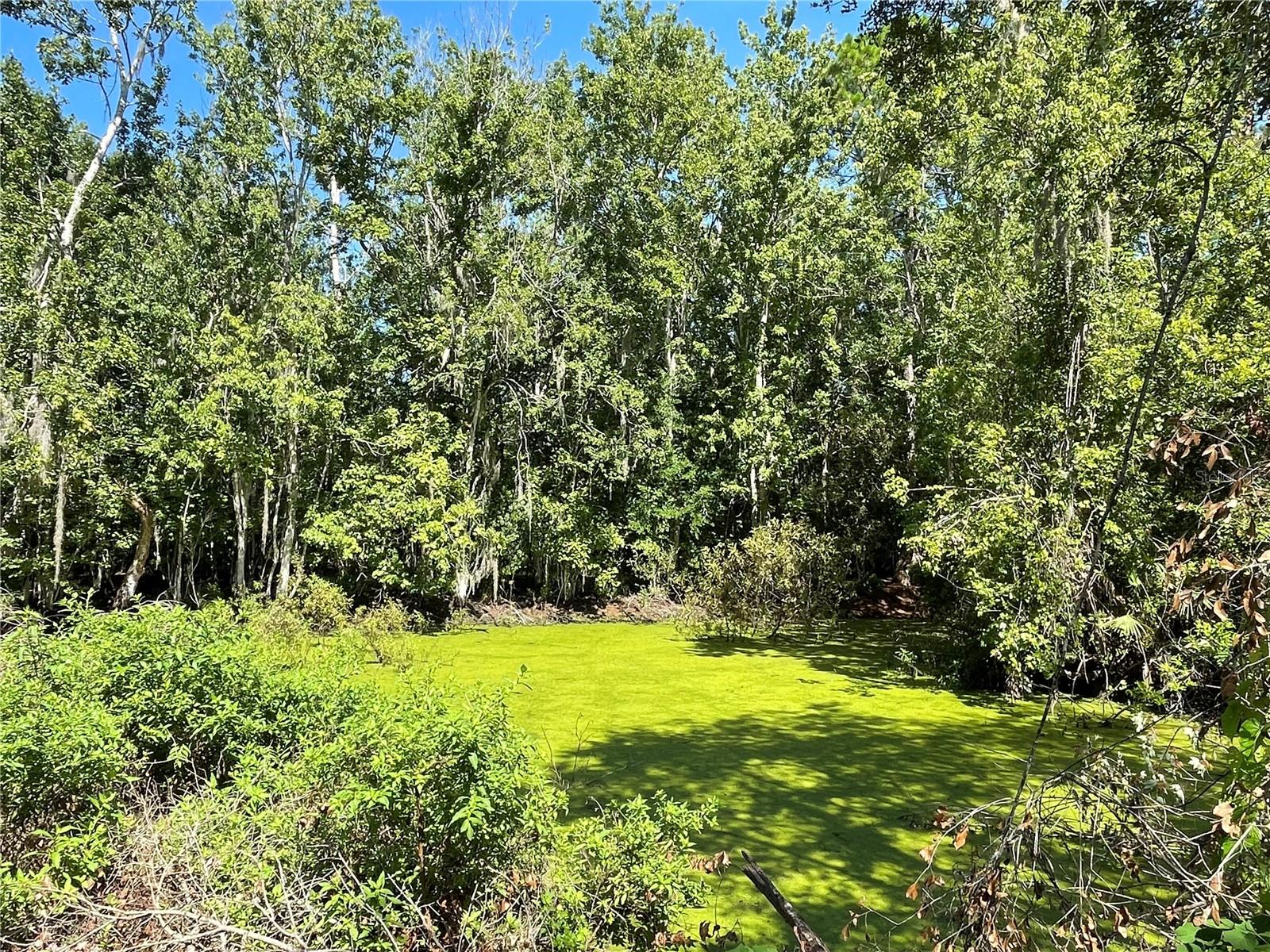16415 Bearle Rd Property Photo 11