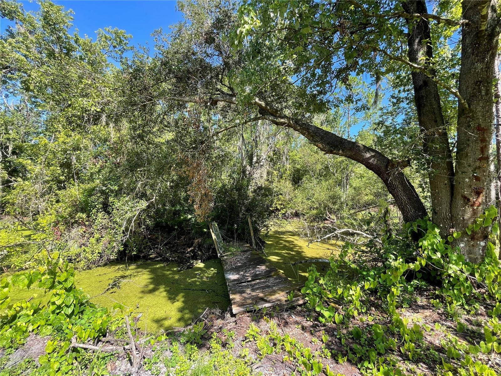 16415 Bearle Rd Property Photo 12