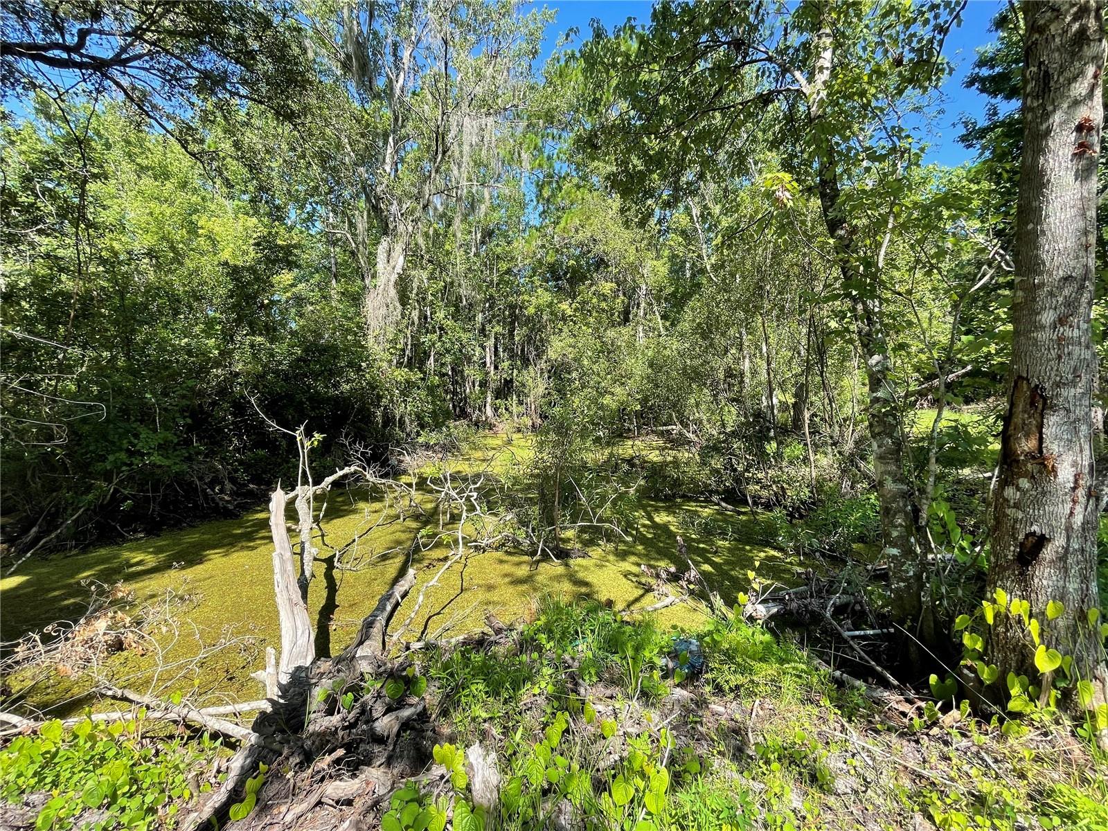 16415 Bearle Rd Property Photo 13