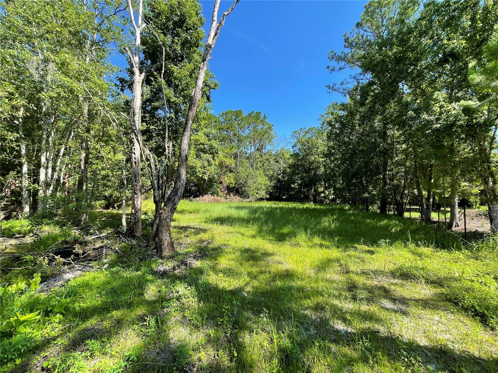 16415 Bearle Rd Property Photo 14