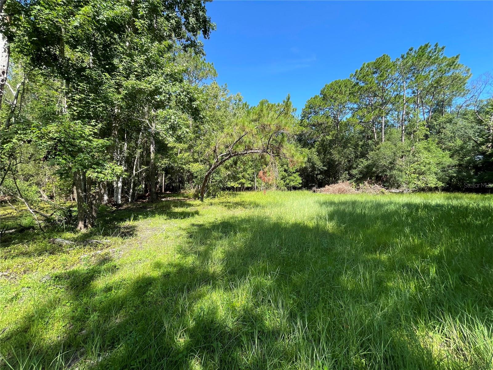 16415 Bearle Rd Property Photo 15