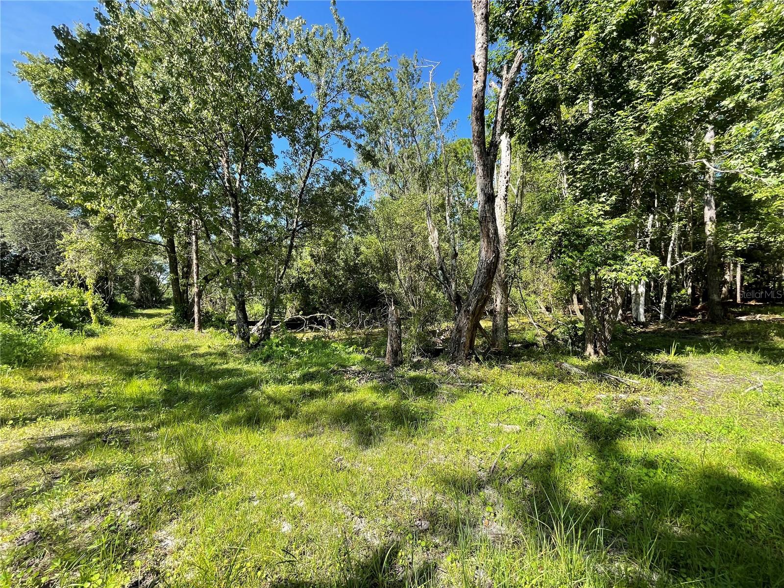 16415 Bearle Rd Property Photo 16