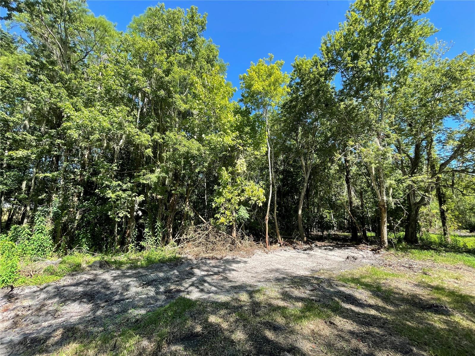 16415 Bearle Rd Property Photo 20