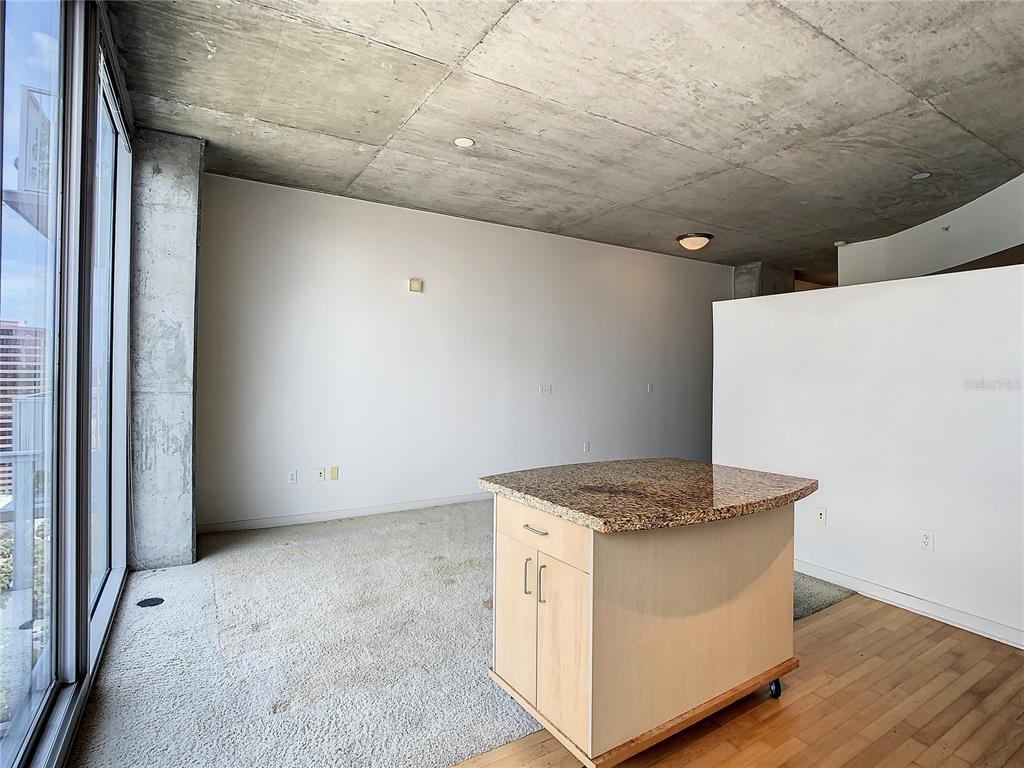 155 S Court Ave #1906 Property Photo 10