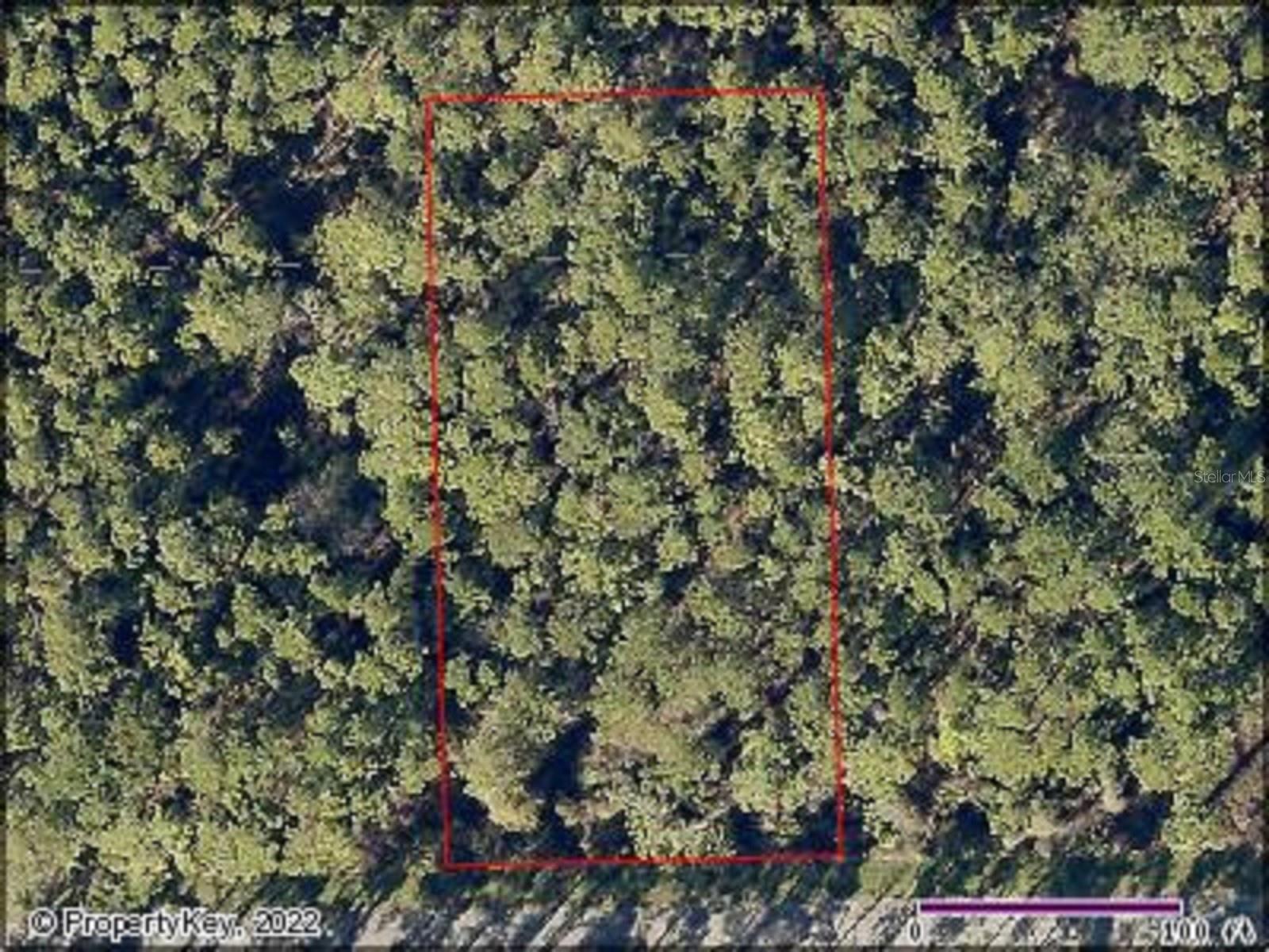 Quince Ave Property Photo 4