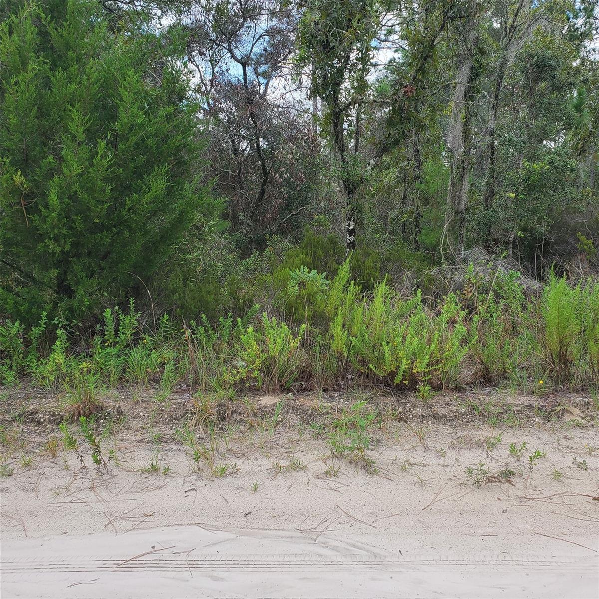 NE 66TH LN Property Photo 1