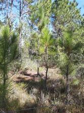 Salyers Rd Property Photo 2