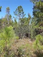 SALYERS RD Property Photo 1