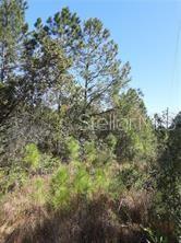 Salyers Rd Property Photo 3