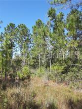 Salyers Rd Property Photo 4