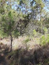 Salyers Rd Property Photo 6