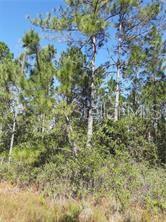 S Fork Ranch Dr Property Photo 1