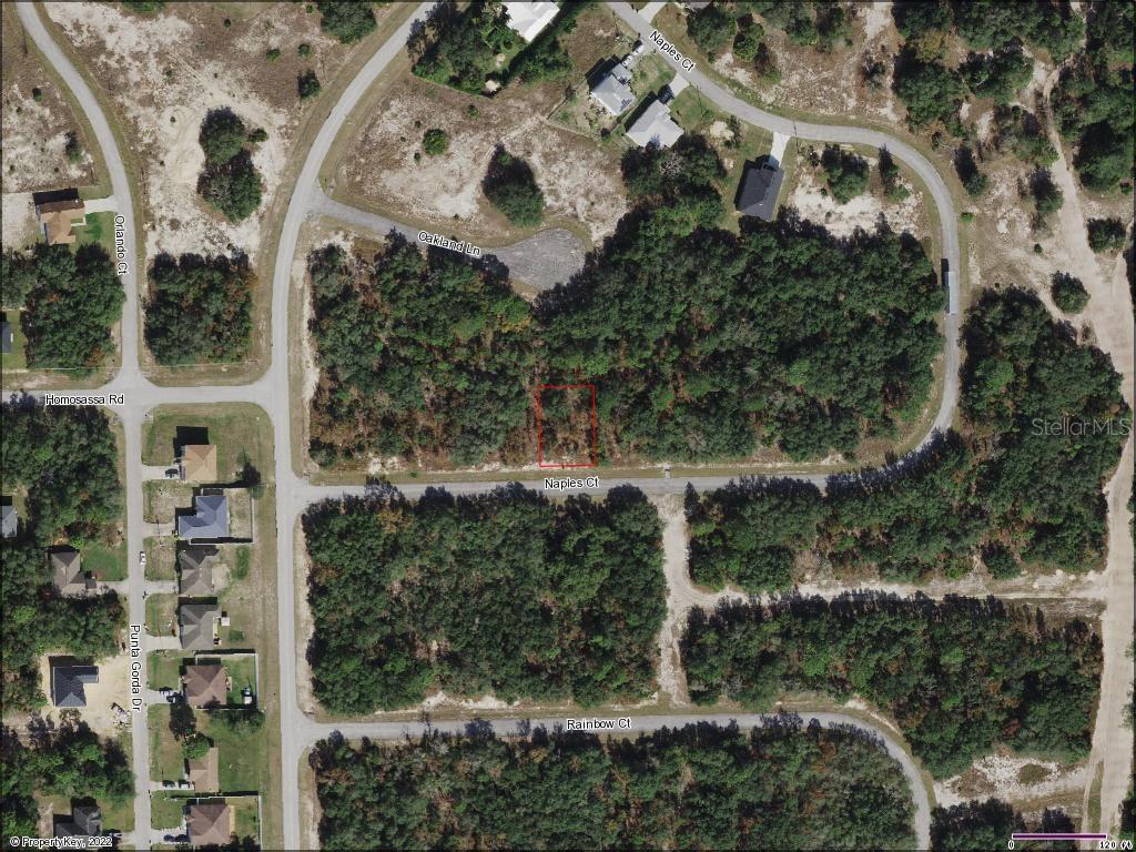442 NAPLES CT Property Photo 1