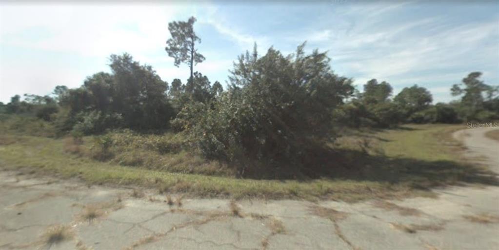 Dana Court Property Photo 4