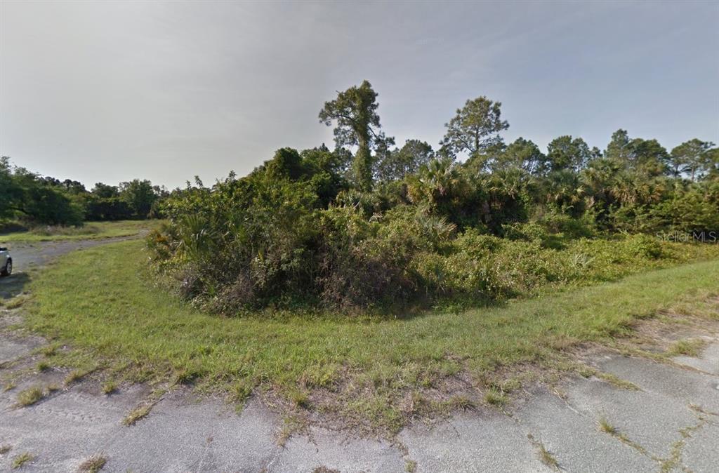 Dana Court Property Photo 5