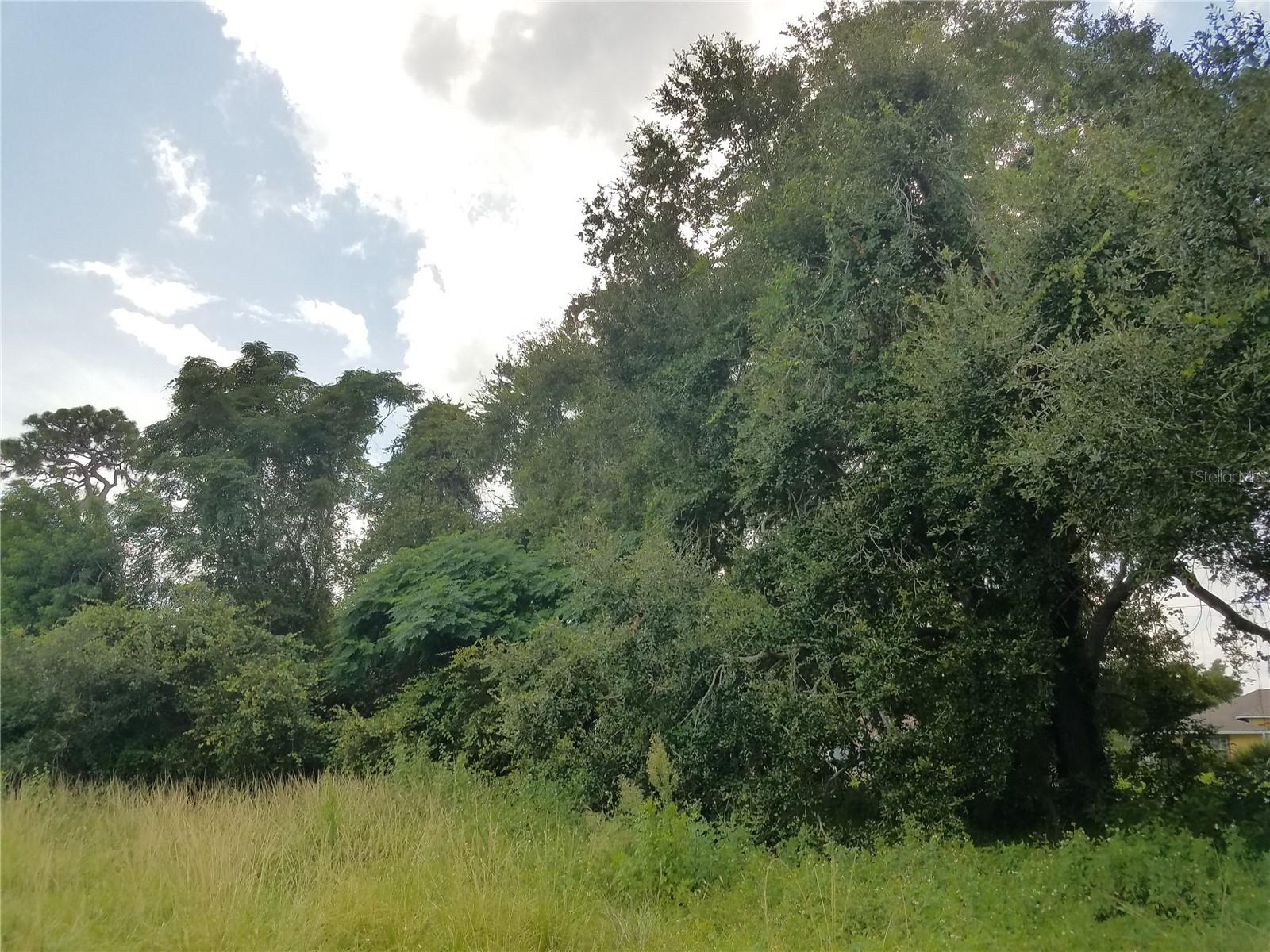 O6086906 Property Photo 15
