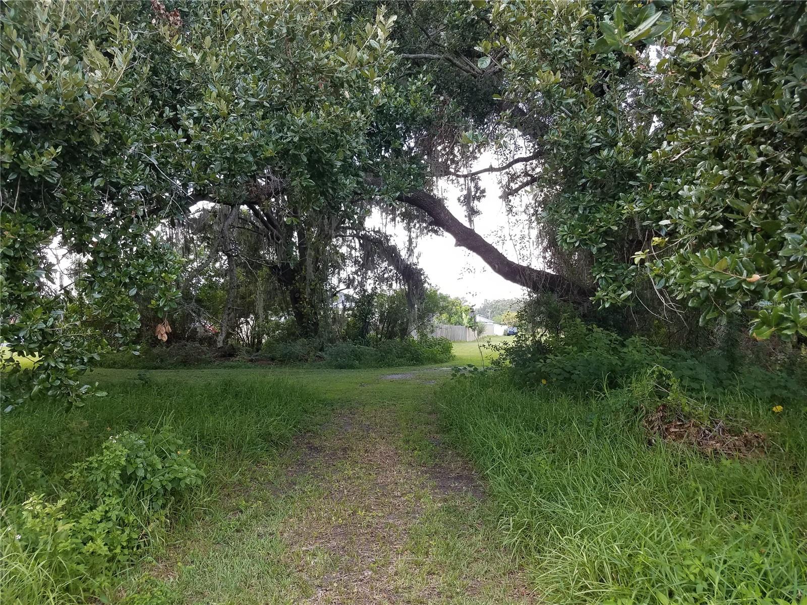 O6086906 Property Photo 16