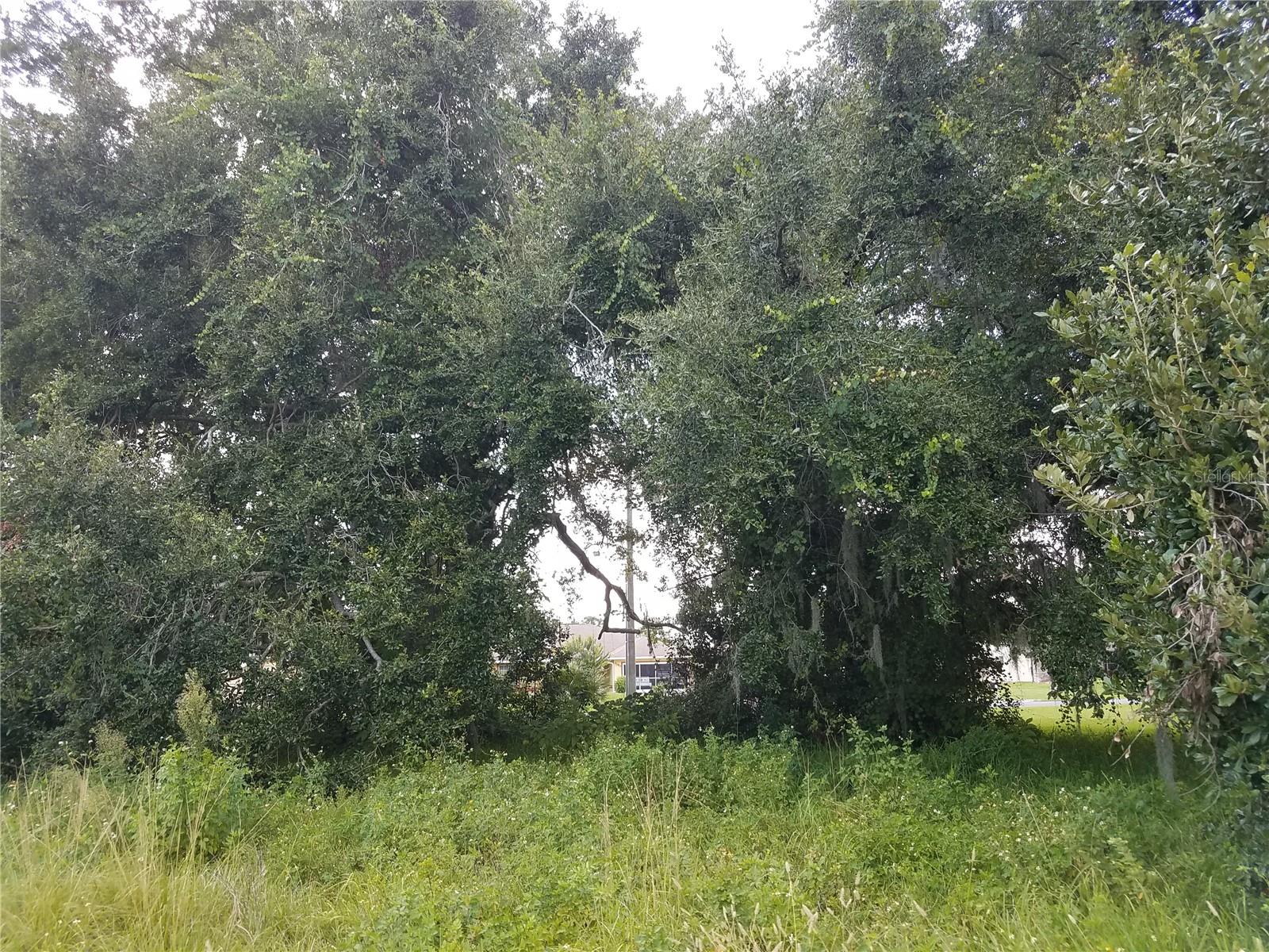O6086906 Property Photo 17
