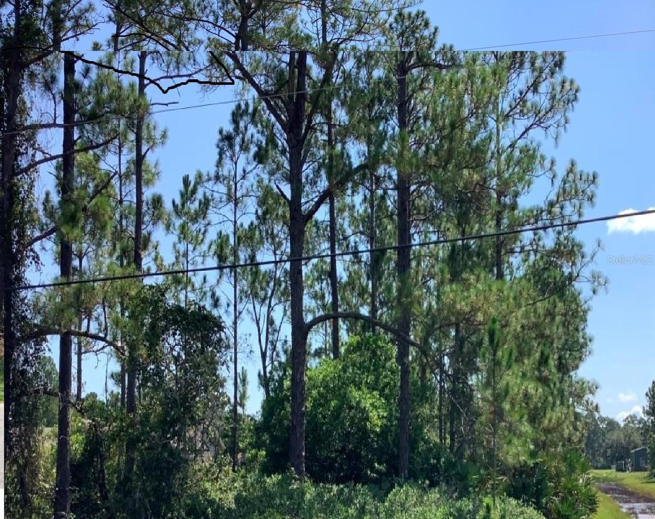 CAESAR AVE Property Photo 1