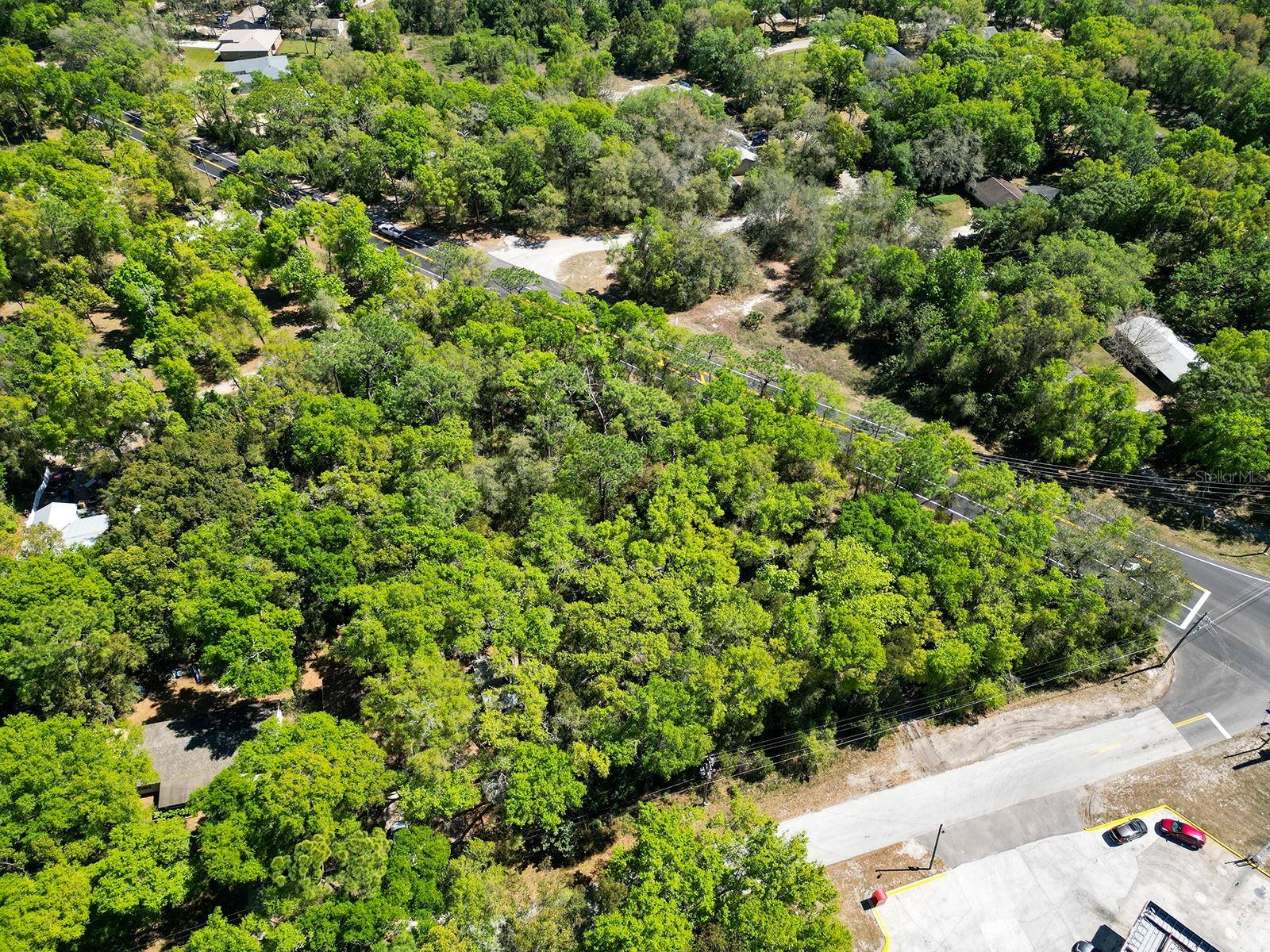 Niles St Property Photo 10