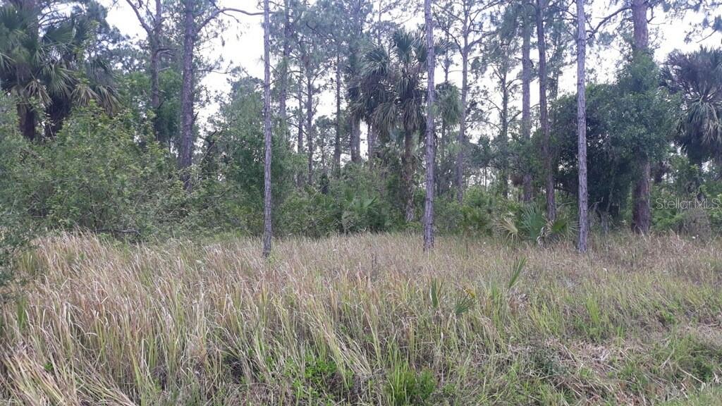 804 Palmetto Avenue Property Photo 1