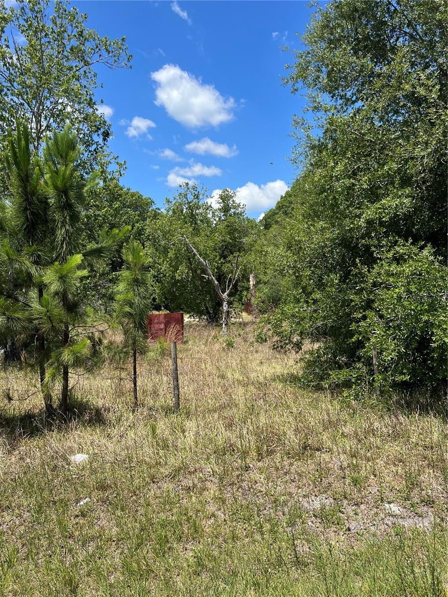 2519 State Road 33 Property Photo 8