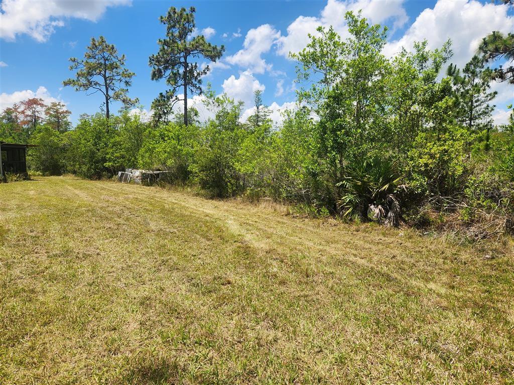Holopaw Groves Rd Property Photo 3