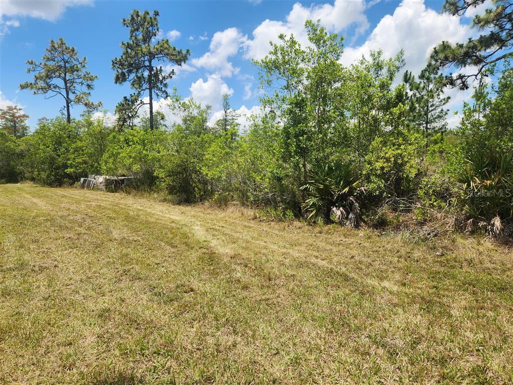 Holopaw Groves Rd Property Photo 4