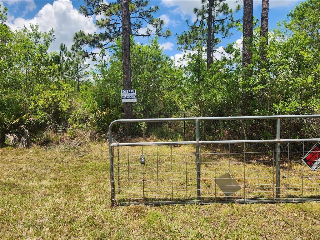 Holopaw Groves Rd Property Photo 5